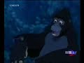 Tarzan Verarsche - Tarkan