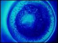 Seefeel - Fracture