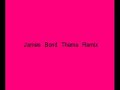 James Bond Theme (Remix)