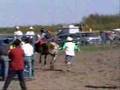 lane laplante indian rodeo