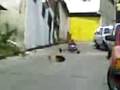 videos de que coñaso