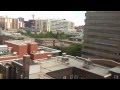 Red-Tailed Hawk Sighting at Ryerson University