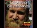 Leevi and The leavings - matkamuistoja