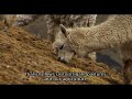in pucarumi, a small community in the foothills of the snow-capped peruvian andes, felipe mulls the fate of the life-giving ausangate glacier. year after year, the great white glacier of his boyhood has receded and slowly turned black.

