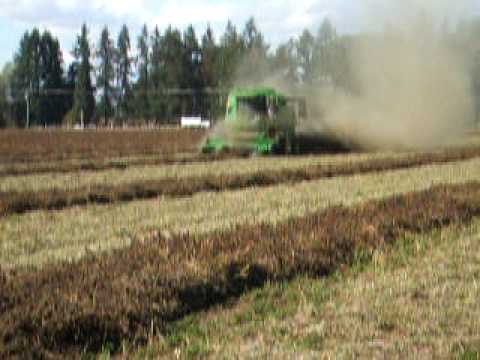 how to harvest clover seed