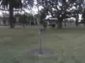 videos de chabas parkour