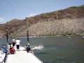 Dock Jumping