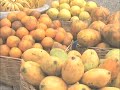 Haiti Food Crisis