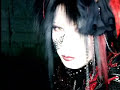 Phantasmagoria Material Pain PV