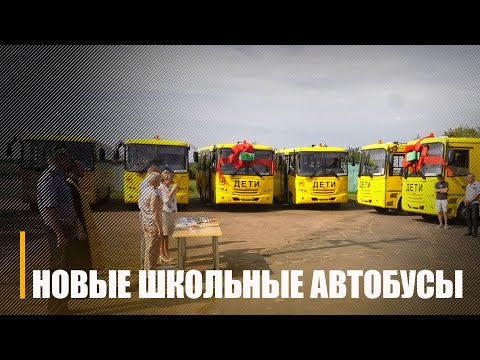 19 новых школьных автобусов передали в районы Гомельской области видео