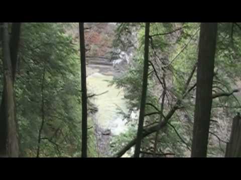 A Hike Along the North Country Trail - Watkins Glen State Park