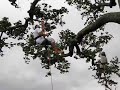 aventura no rio ja�