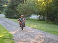 honda 50 wheelie honda 50 wheelie
