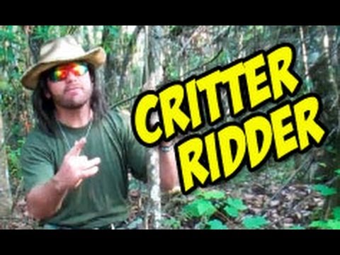 scottkinmartintv - If you've got a wildlife problem, let eDDie be your critter ridder! ▻eDDie Ep.3 BLOOPERS: http://youtu.be/kOsn-R7cWwU ▻ eDDie (playlist) http://www.youtube.c...