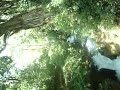 100_0903.MOV