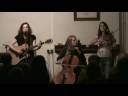 The Snapdragons.A Journey The Snapdragons.A Journey