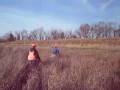 videos de pheasant hunting.mov