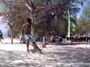 Shuffling with monkey