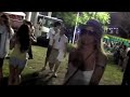 Miami In The Mau5Trap - WMC2008
