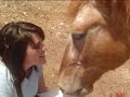 anne & djebel jtm