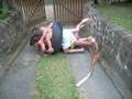 videos de BAGUNÇA EM LUMIAR