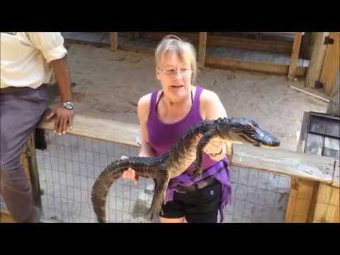 Review and Footage : Gator Park, Miami, Fl