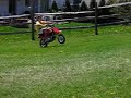 backyard 50