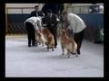 videos de Clase Campeones - Filipini - KCP Julio 2,008