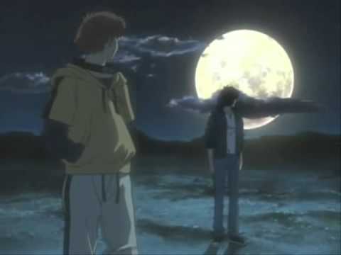 kiba wolf