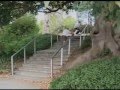 This is Skateboarding