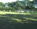 FC King George - Ansager IF FC King George - Ansager IF