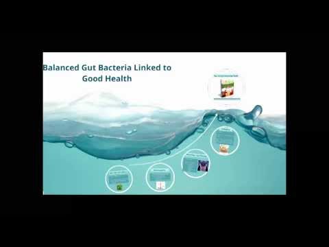 how to rebuild gut flora