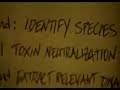 spiderman 4 teaser trailer. fan made for the 800th time!!!

if toby maguire turns down the role (which by now it's unlikely) jake gyllinghall (or however you spell it!) will be approached to take over the role of spiderman/peter parker. i made this video using j.g clips instead of toby clips, to show what it will be like if he was in the 4th one.

please don't leave pointless uneccessary angry comments slagging off this video because i used jake clips, not toby ones, and pointless comments that just prove you are an idiot.

i used jim carrey in this trailer as carnage, because in my personal opinion i would like to see him play the character (he is not actually going to be in the 4th film) and even though batman forever is the gayest film ever made, it's the only clips i could get of jim carrey acting crazy, lol.

please leave a nice comment and subscribe :-)

this is a fan made video - if you leave a comment about how much this is fake, you are truely and idiot & you have not read this.