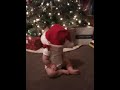 Zoey in a Santa hat - 12-17