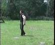 Boyero de Flandes video