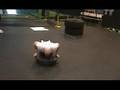 The real 300 workout part 2!  Spartans! We fight for glory!