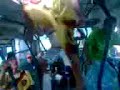 ipsep tirando onda
