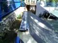 kiril zornik-short part