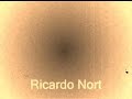 Ricardo Nort, o homem mais forte do Brasil
