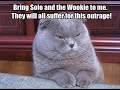 The Best LOLcats
