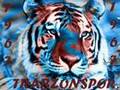 TRABZONSPOR YEN� MAR�I