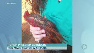 Homem preso em Botucatu por maus tratos a animais