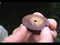 Calligraphy Water Dropper - Jumping Frog Japan Suiteki