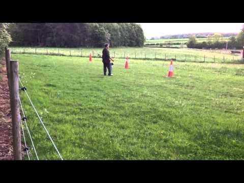 - Fallowfen Training Kennels - Fallowfen Training Kennels