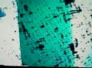 ITC EXPERIMENT SAMPLE VIDEO 1 ITC EXPERIMENT SAMPLE VIDEO 1