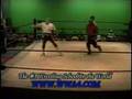 WWA4 Move Spinebuster
