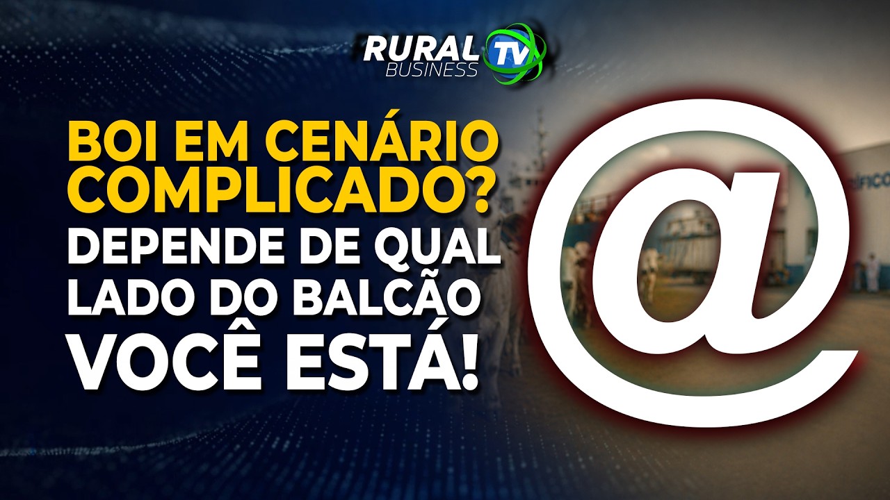 BOI EM CENÁRIO COMPLICADO? DEPENDE DE QUAL LADO DO BALCÃO VOCÊ ESTÁ!