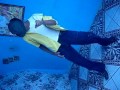 mj  guim cover  (fmc)  {s�o   jo�o de meriti venda velhaH }
