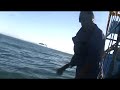 The Great White Shark Cage Dive Part 2