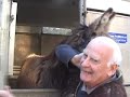 Chalford Donkey